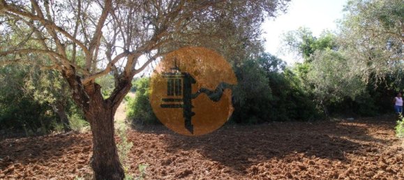 Terreno en Faro, Portugal 5600 m² No. 49498 21