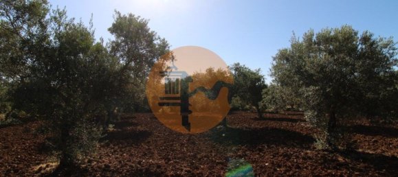 Terreno en Faro, Portugal 5600 m² No. 49498 18