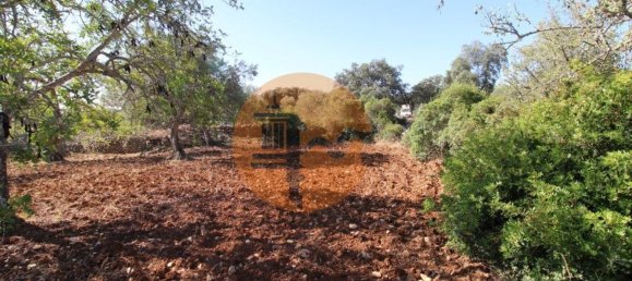 Terreno en Faro, Portugal 5600 m² No. 49498 2