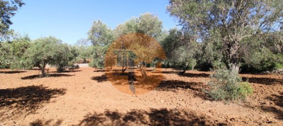 Terreno en Faro, Portugal 5600 m² No. 49498 23