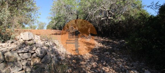 Terreno en Faro, Portugal 5600 m² No. 49498 15