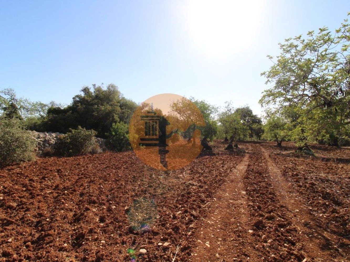 Terreno en Faro, Portugal 5600 m² No. 49498