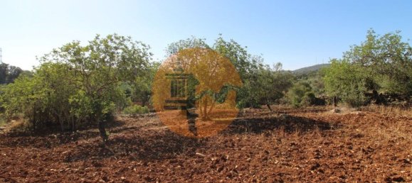 Terreno en Faro, Portugal 5600 m² No. 49498 12