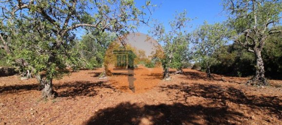 Terreno en Faro, Portugal 5600 m² No. 49498 8