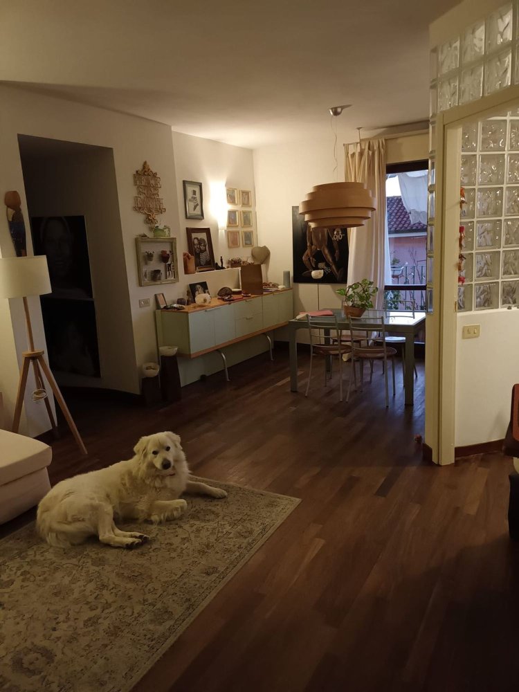 7 rooms Duplex in Carrara, Italy No. 257008