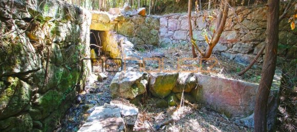 3 Schlafzimmer Haus in Tarouquela, Portugal, Nr. 290291 10