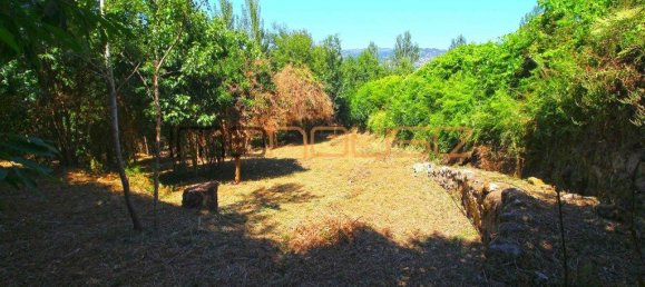 3 Schlafzimmer Haus in Tarouquela, Portugal, Nr. 290291 13