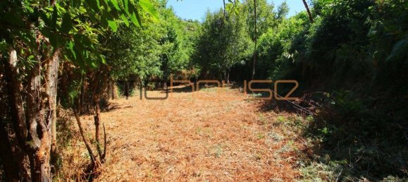 3 Schlafzimmer Haus in Tarouquela, Portugal, Nr. 290291 16