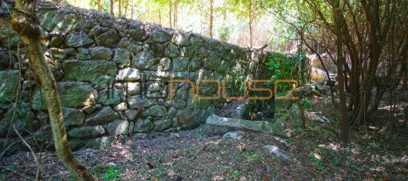 3 Schlafzimmer Haus in Tarouquela, Portugal, Nr. 290291 7