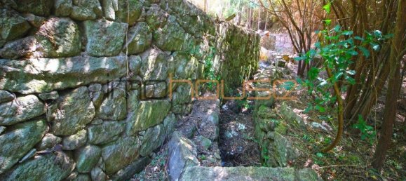 3 Schlafzimmer Haus in Tarouquela, Portugal, Nr. 290291 8