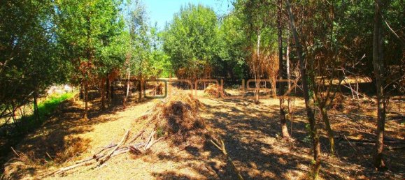 3 Schlafzimmer Haus in Tarouquela, Portugal, Nr. 290291 15