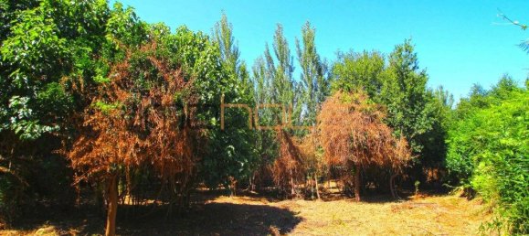 3 Schlafzimmer Haus in Tarouquela, Portugal, Nr. 290291 14