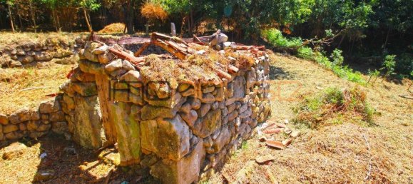 3 Schlafzimmer Haus in Tarouquela, Portugal, Nr. 290291 4