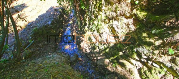 3 Schlafzimmer Haus in Tarouquela, Portugal, Nr. 290291 9