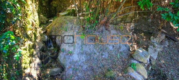 3 Schlafzimmer Haus in Tarouquela, Portugal, Nr. 290291 12