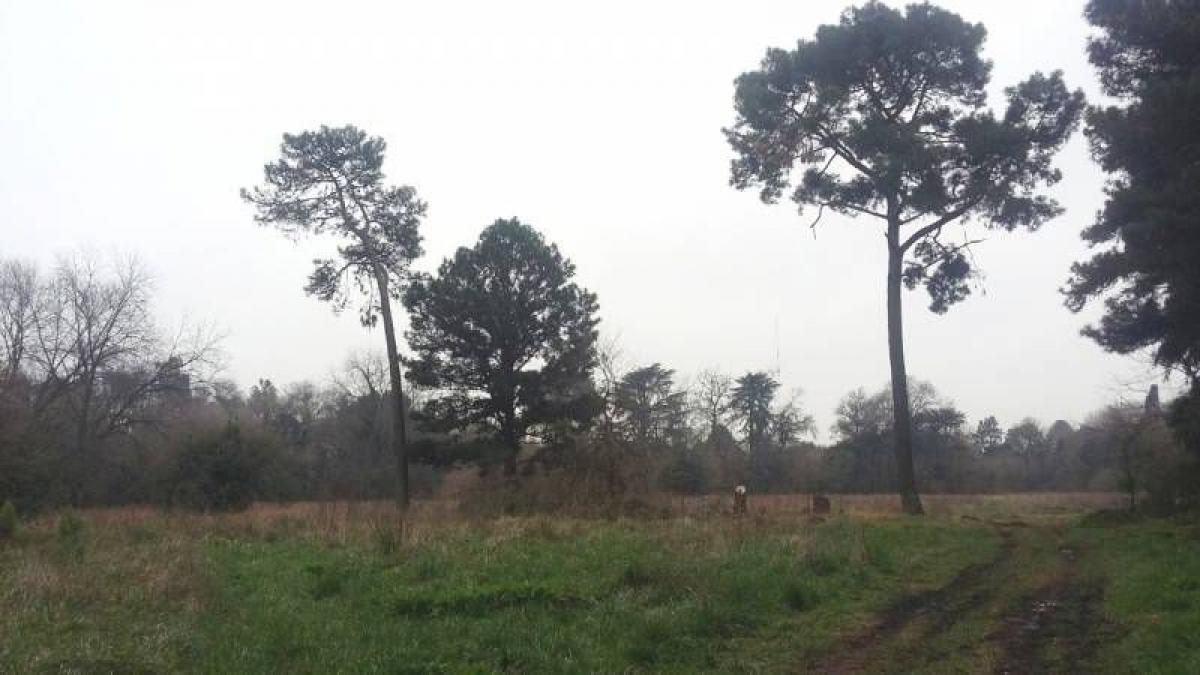  قطعة أرض في Pilar, Argentina رقم 32622