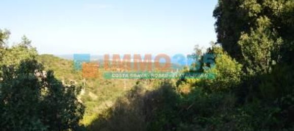 5 bedrooms Villa in Castell-Platja d'Aro, Spain No. 74174 41