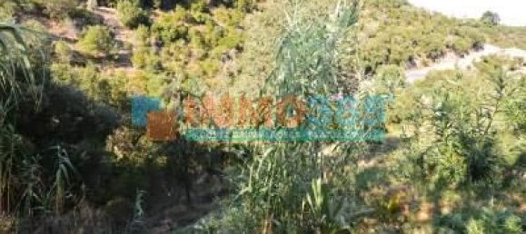 5 bedrooms Villa in Castell-Platja d'Aro, Spain No. 74174 35