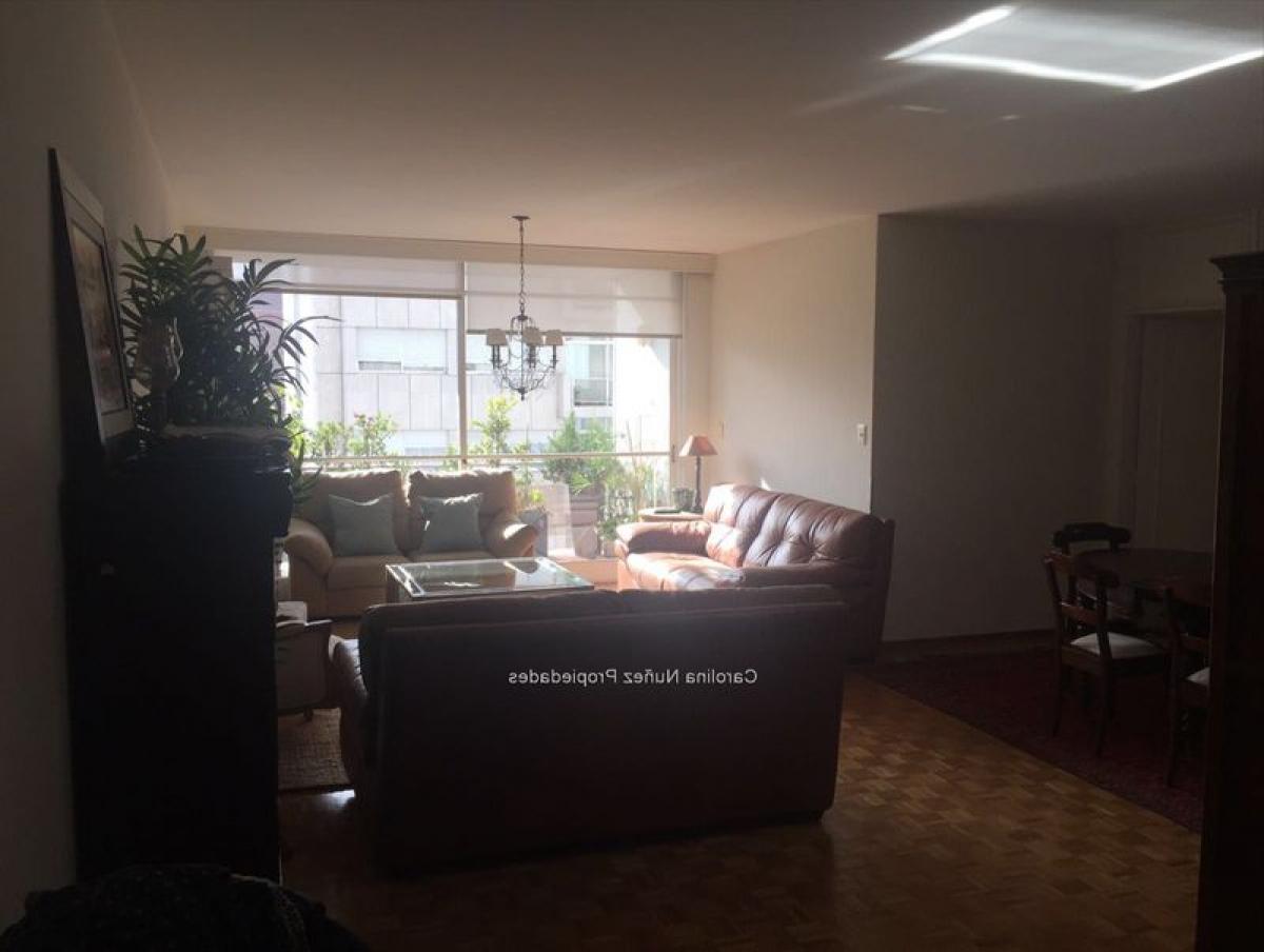 3 bedrooms Apartment in Montevideo, Uruguay No. 7912