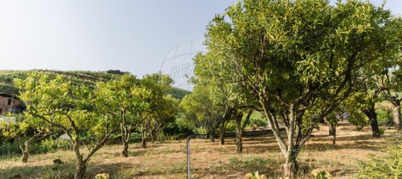 4 Schlafzimmer Haus in Peso da Regua, Portugal, Nr. 229890 2