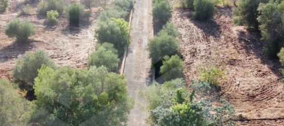 Casa de 16 divisões em Ceglie Messapica, Italy N.º 21642 12