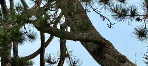 3 rooms Apartment in Dobling, Austria No. 129162 8