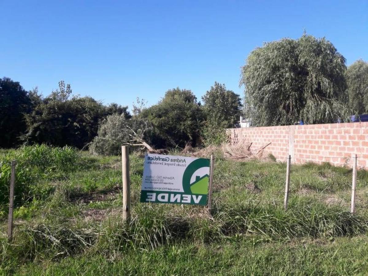  Land in Lobos, Argentina No. 42101