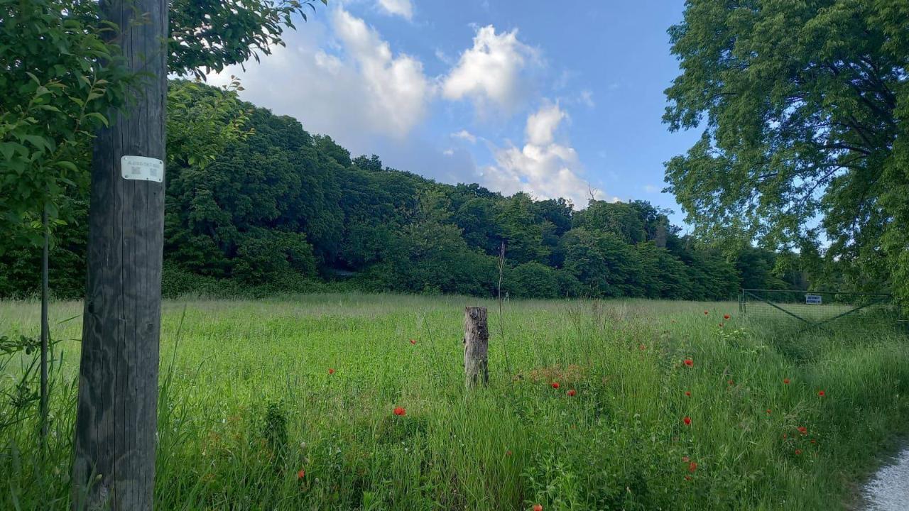 3200m² Land in Lonato del Garda, Italy No. 120557