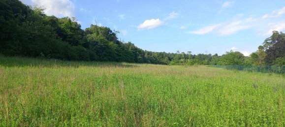 3200m² Land in Lonato del Garda, Italy No. 120557 2