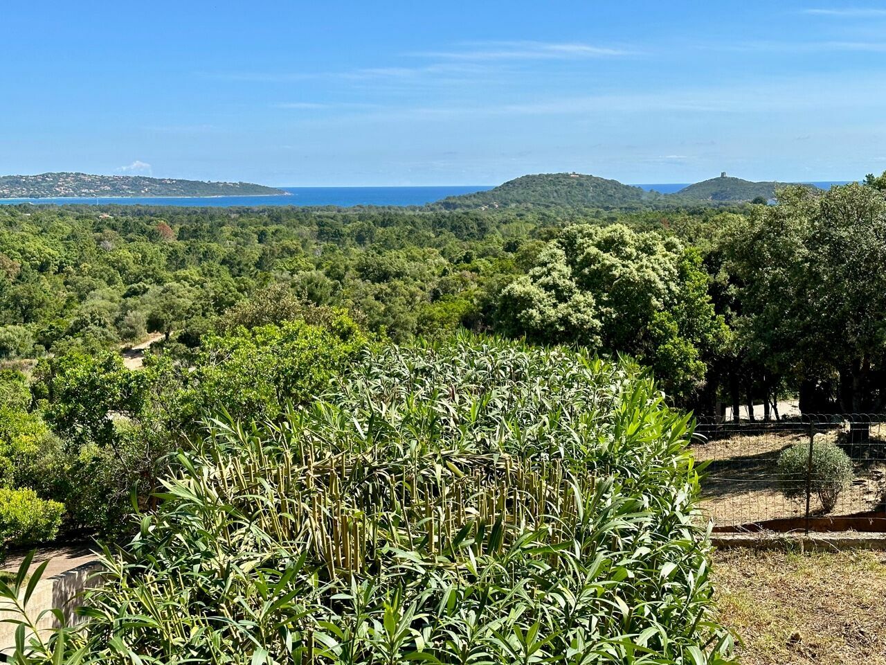 5 bedrooms House in Porto-Vecchio, France No. 80856