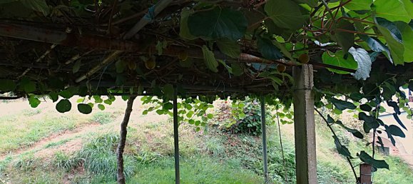 4 bedrooms House in Naron, Spain No. 186883 27