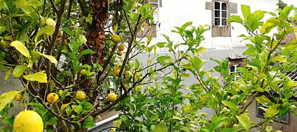 4 bedrooms House in Naron, Spain No. 186883 15