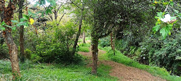 4 bedrooms House in Naron, Spain No. 186883 30