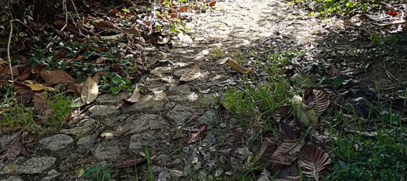 4 bedrooms House in Naron, Spain No. 186883 26