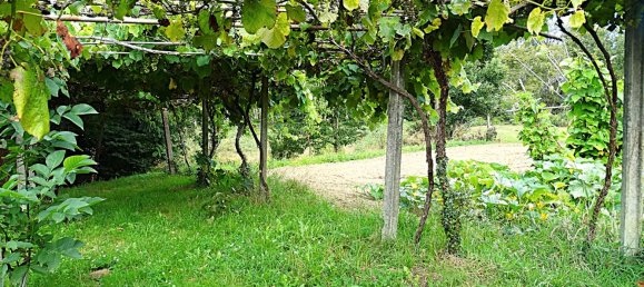 4 bedrooms House in Naron, Spain No. 186883 35