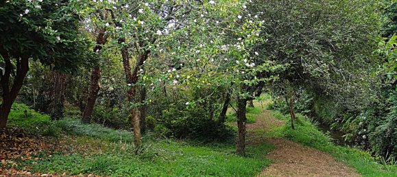 4 bedrooms House in Naron, Spain No. 186883 29