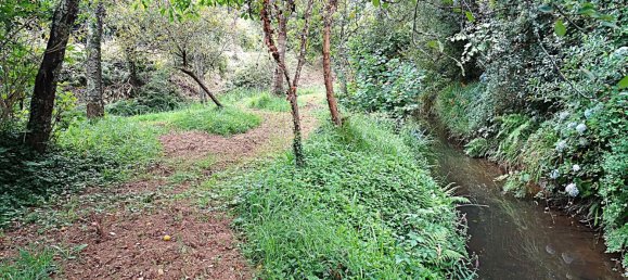 4 bedrooms House in Naron, Spain No. 186883 31