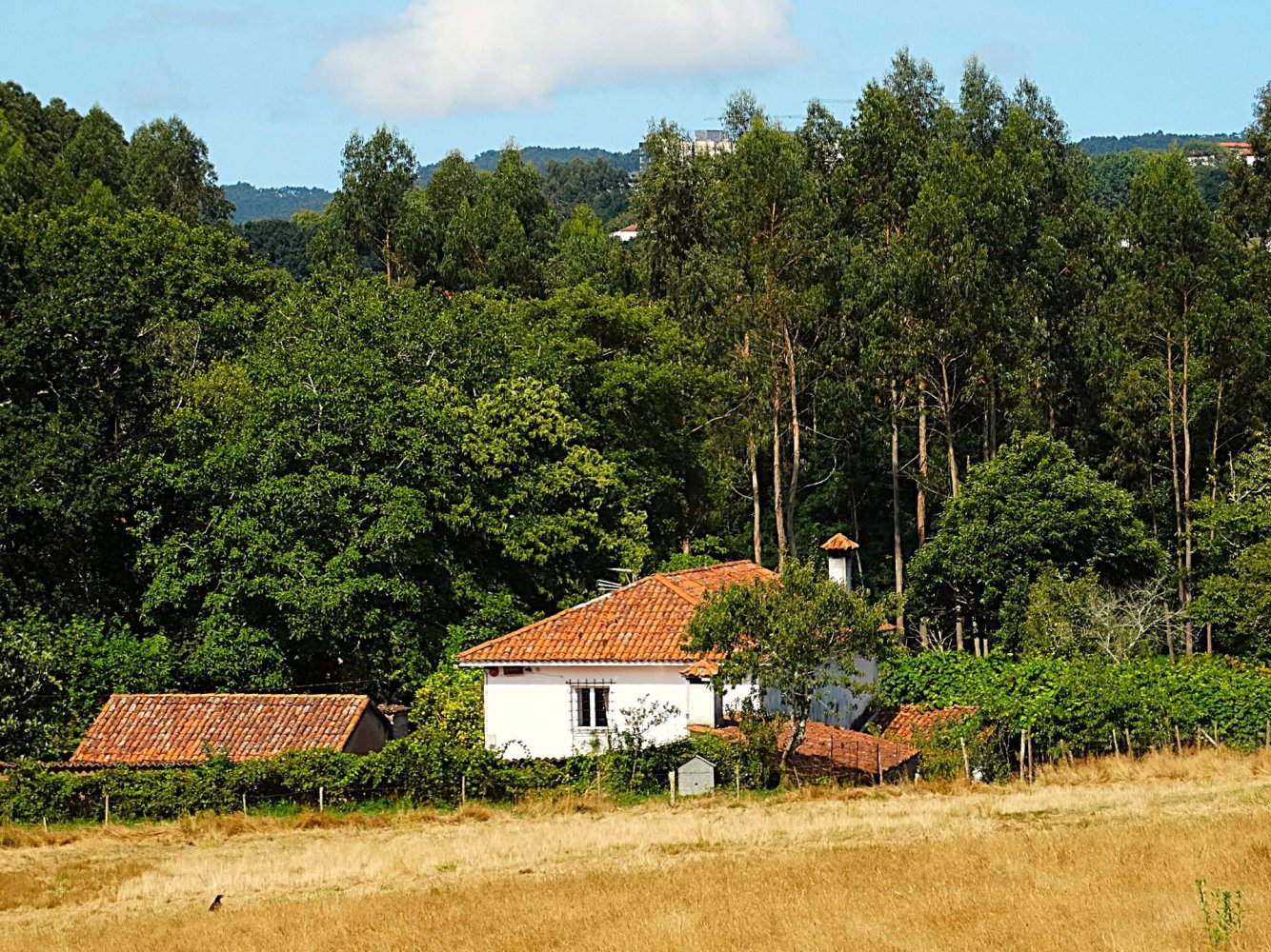 4 bedrooms House in Naron, Spain No. 186883