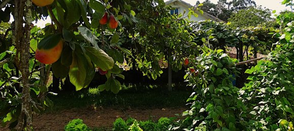 4 bedrooms House in Naron, Spain No. 186883 37