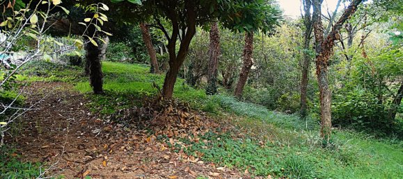 4 bedrooms House in Naron, Spain No. 186883 33