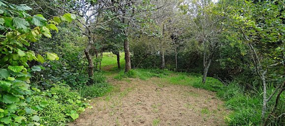 4 bedrooms House in Naron, Spain No. 186883 32