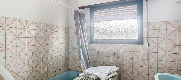 8-salle Bâtiment à Mulhouse, France No. 229523 24