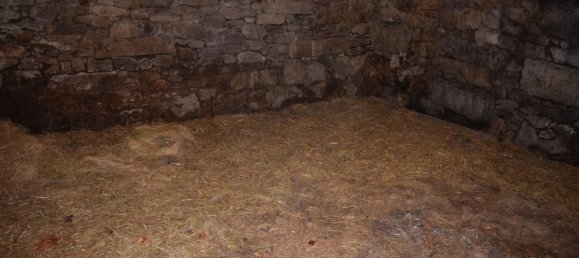 Дом с 4 спальнями в Адан, Португалия № 29424 7