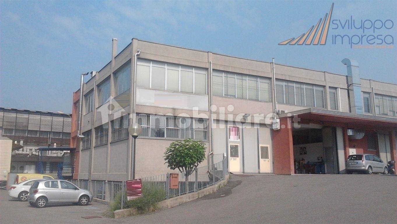 5 rooms Office in Cinisello Balsamo, Italy No. 61097