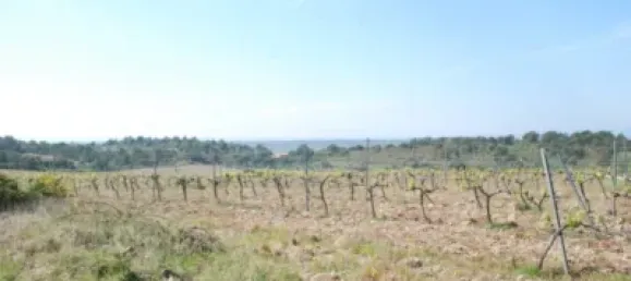 Terreno en Garriguella, Spain 561 m² No. 73522 11