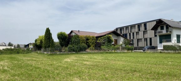 Земельный участок в Кирхдорф ан дер Кремс, Австрия № 132008 8