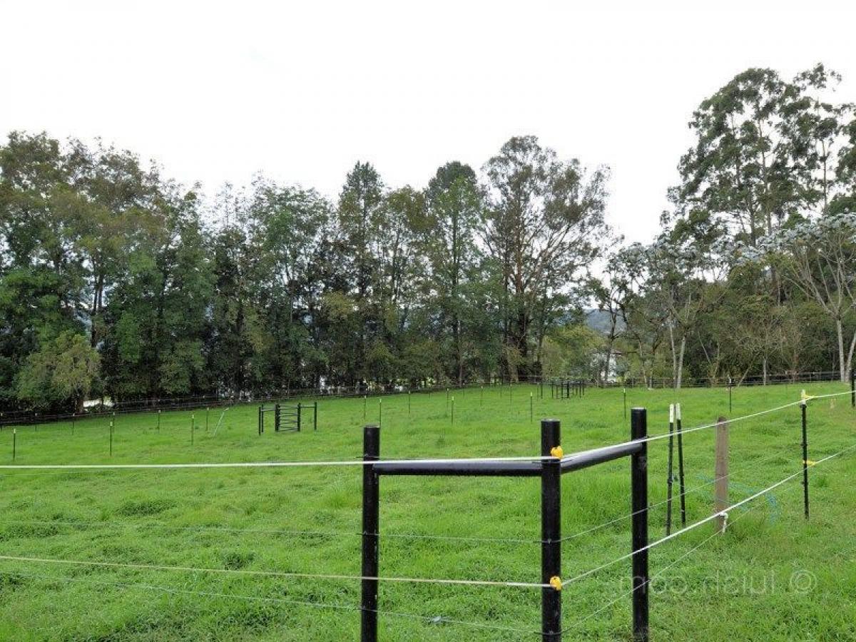  Land in Antioquia, Colombia No. 469