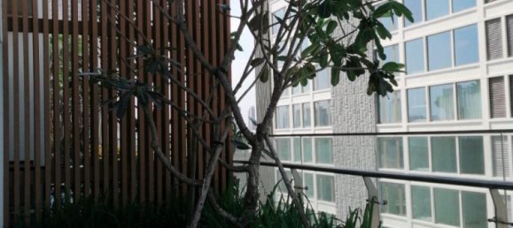 Duplex T3 em Thu Duc, Vietnam N.º 18286 5