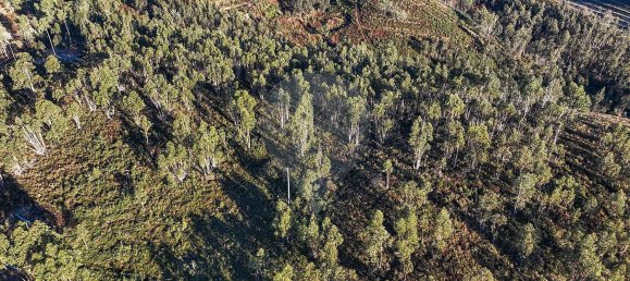 22060m² Land in Arnoia, Portugal No. 12309 9