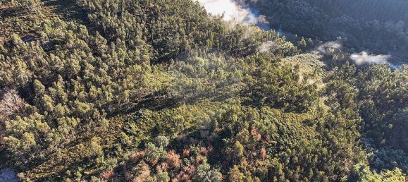 22060m² Land in Arnoia, Portugal No. 12309 6